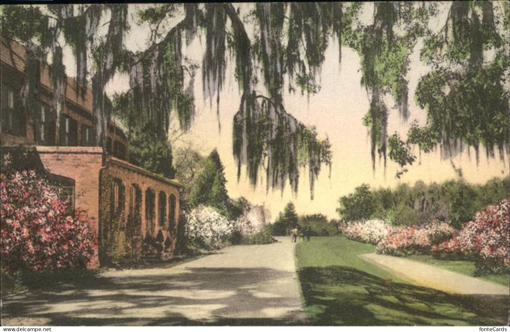 71070156 Charleston_South_Carolina Middleton Place Gardens - Other & Unclassified