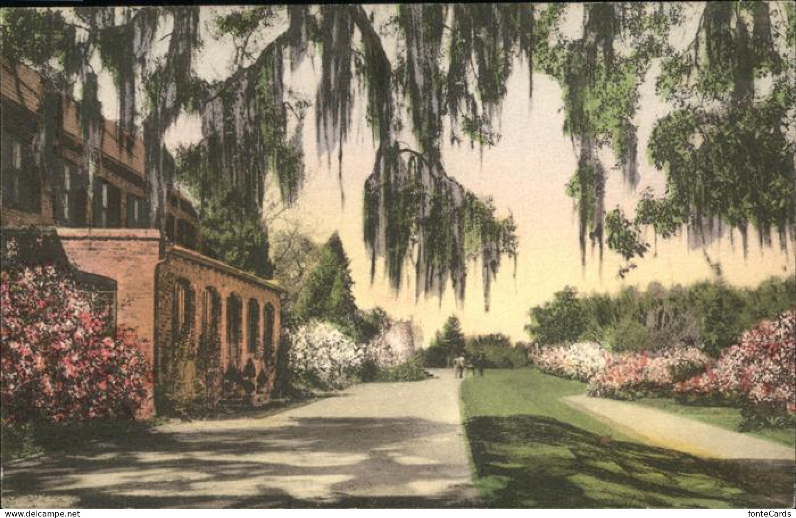 71070156 Charleston_South_Carolina Middleton Place Gardens - Andere & Zonder Classificatie