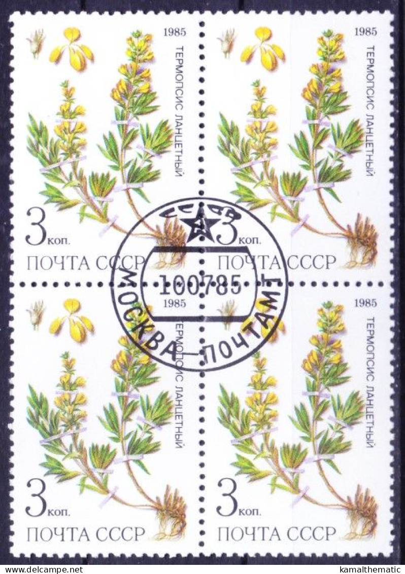 Russia 1985 MNH CTO Blk, Medicine Plant Lupine Used As Anti-diabetic - Plantas Medicinales