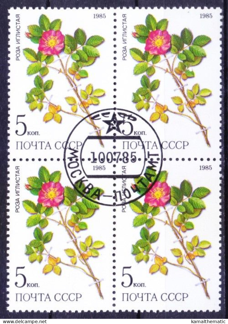 Russia 1985 MNH CTO Blk, Medicine Plant Prickly Rose Used As An Astringent - Piante Medicinali