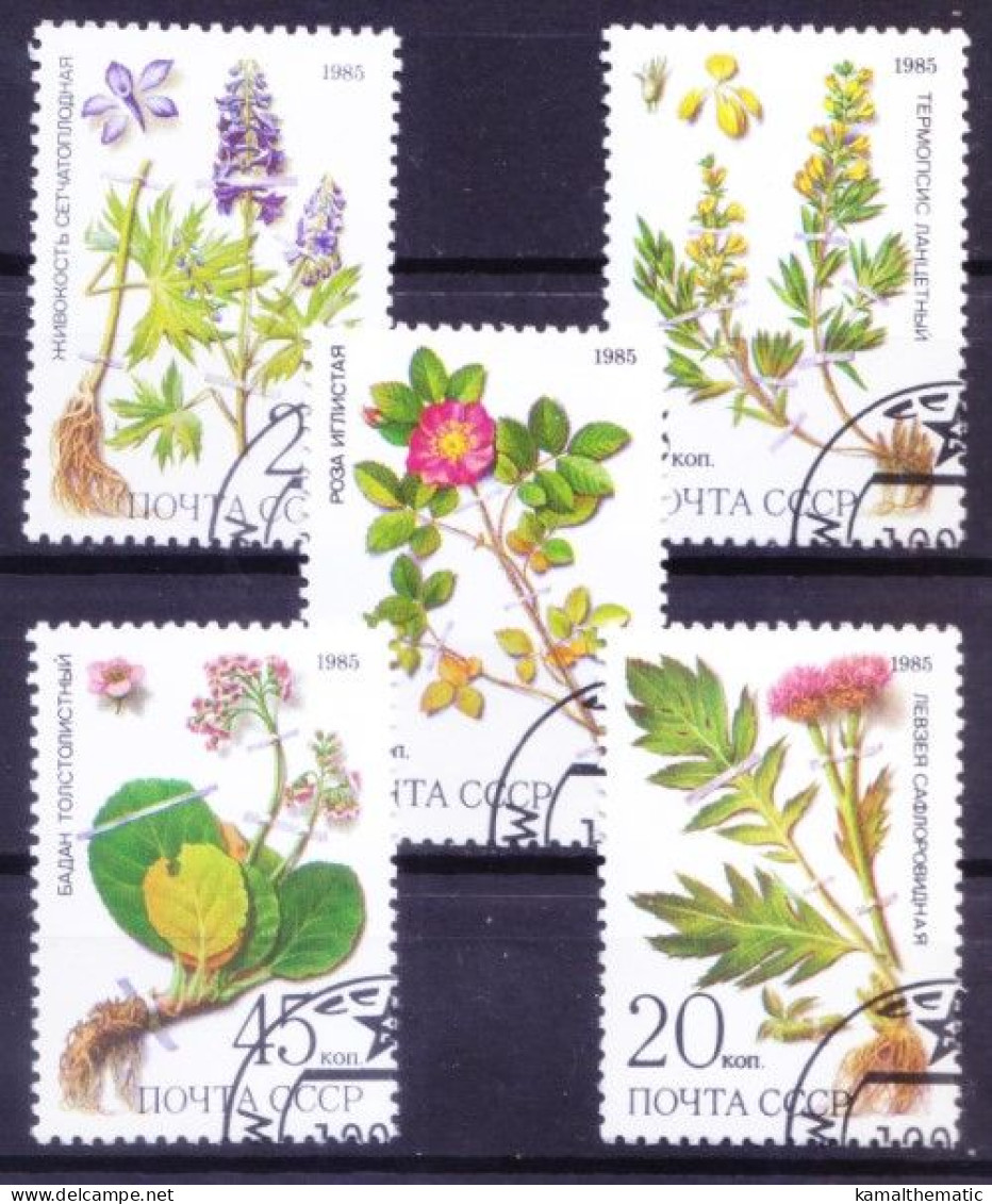 Soviet Union, USSR 1985 MNH CTO 5v, Protected Medicine Plants Of Siberia - Plantes Médicinales