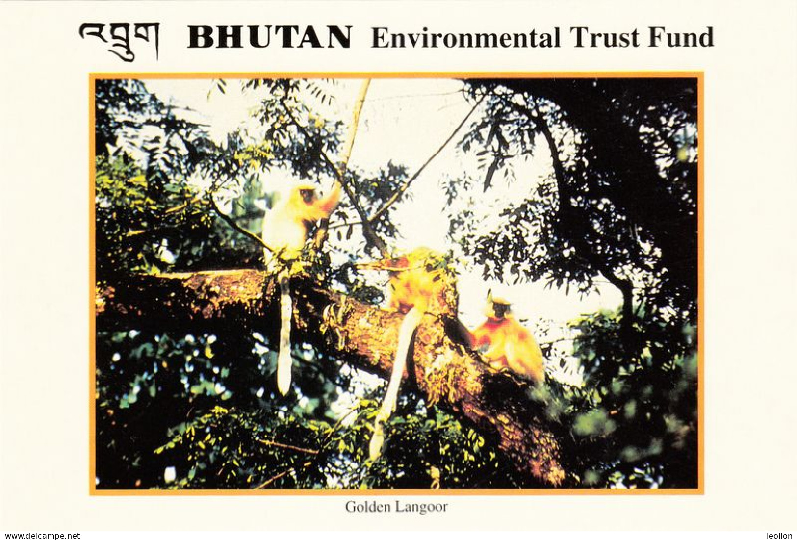 BHUTAN Post 1993 Set Of 17 Environmental Trust Fund Postcards, Unused In Cover Bhoutan Fauna Flora P&T Issue - Bután
