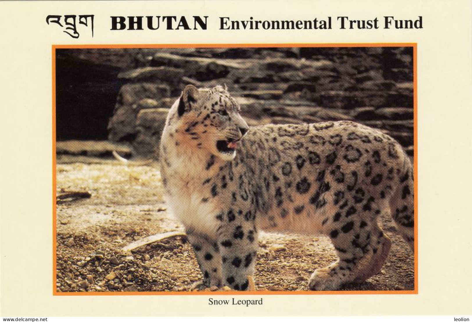BHUTAN Post 1993 set of 17 Environmental Trust Fund Postcards, unused in cover Bhoutan Fauna Flora P&T issue