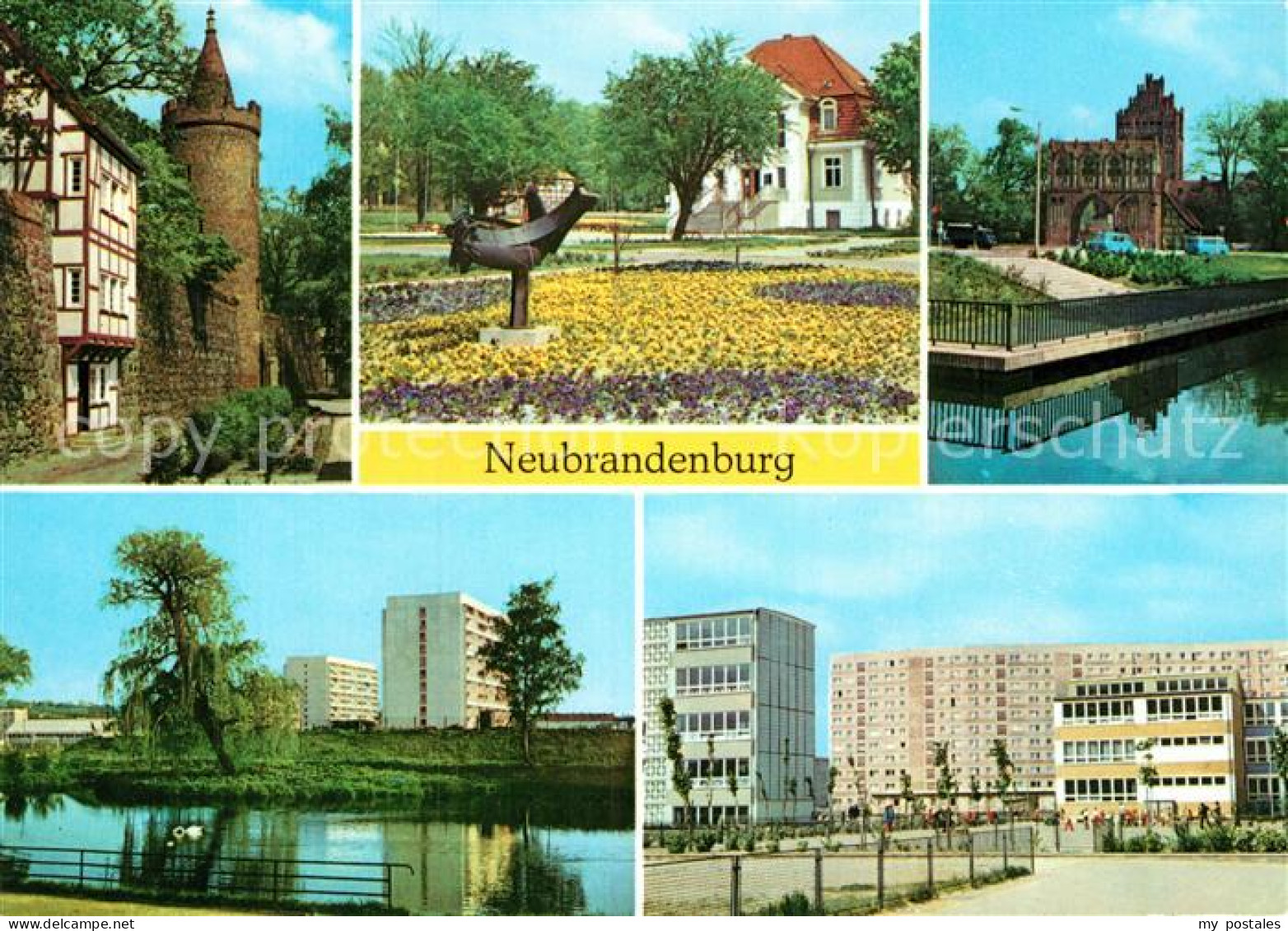 72997175 Neubrandenburg Wiekhaus Moenchenturm Stadtpark Treptower Tor Schwanente - Neubrandenburg