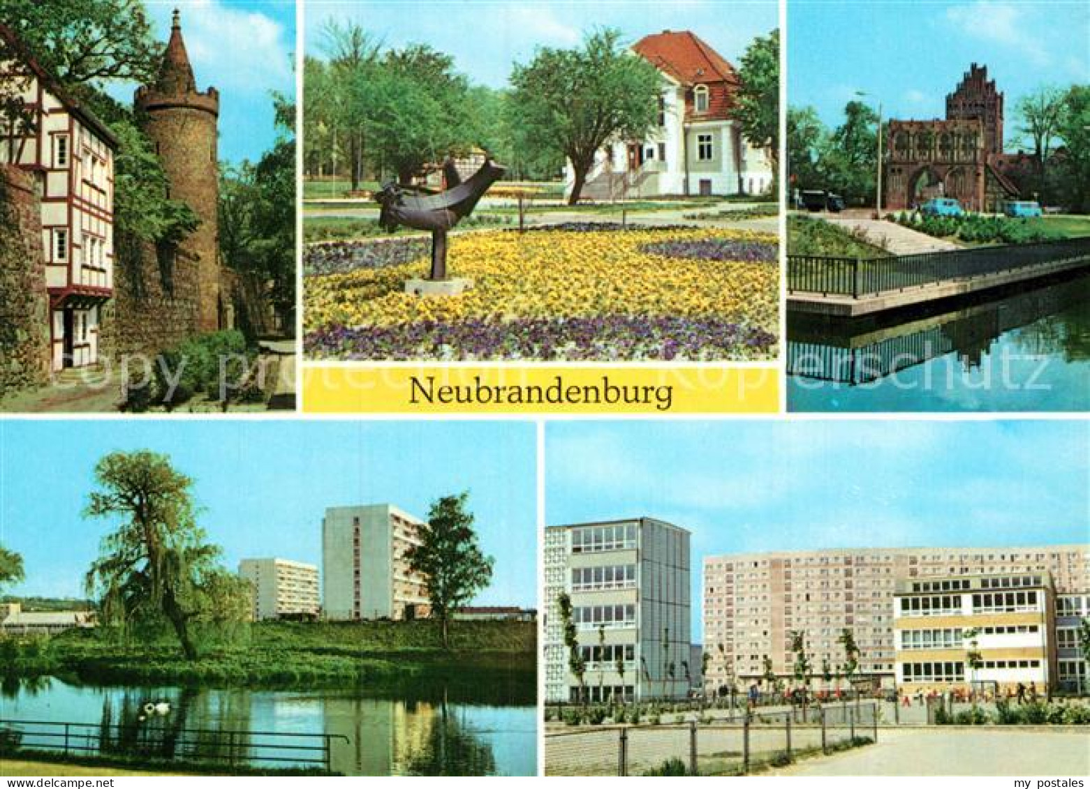 72997163 Neubrandenburg Wiekhaus Moenchenturm Stadtpark Treptower Tor Schwanente - Neubrandenburg