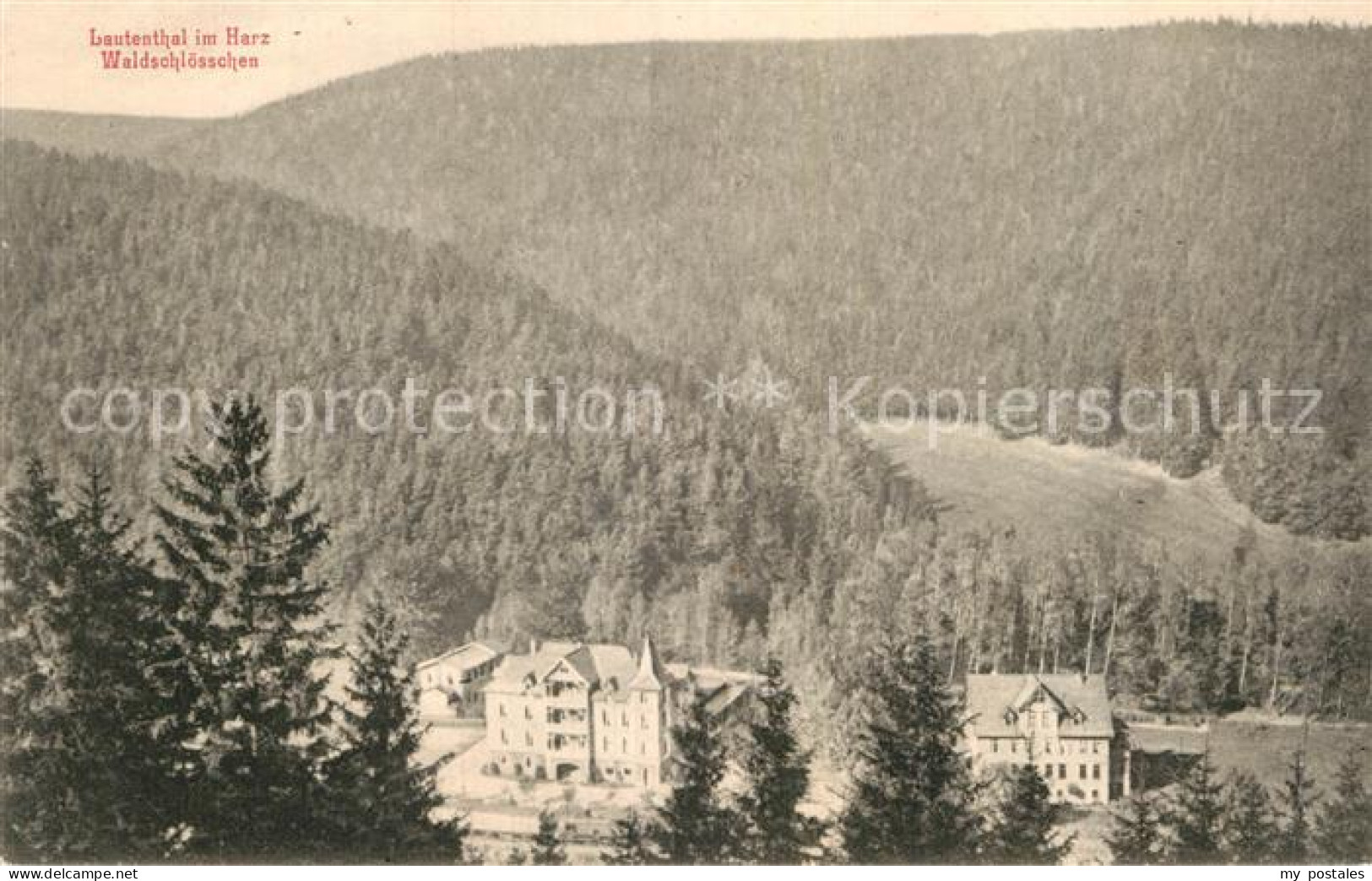 72991416 Lautenthal Harz Waldschloesschen Lautenthal Harz - Langelsheim