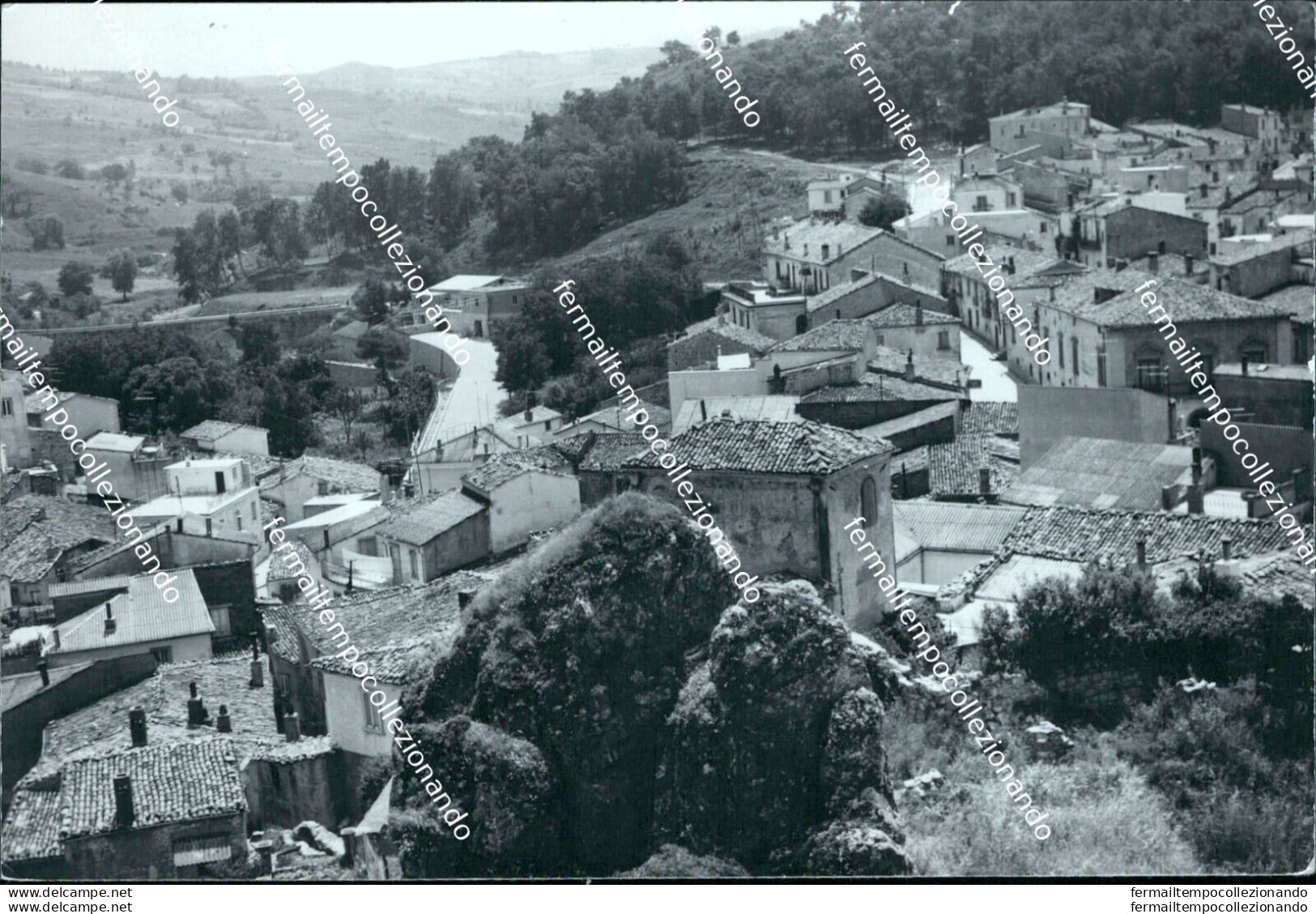 Ci578 Cartolina Pescopagano Panorama Provincia Di Potenza Basilicata - Potenza