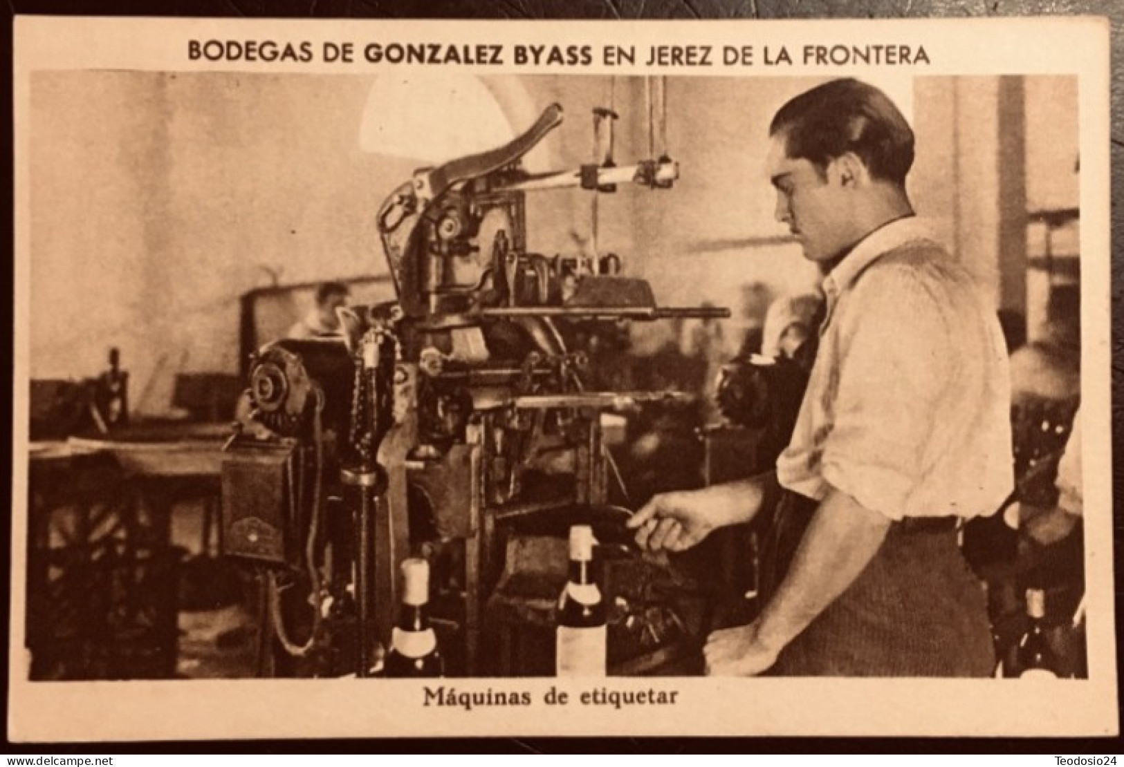 Bodegas De Gonzalez Byass Jerez De La Frontera. - Cádiz