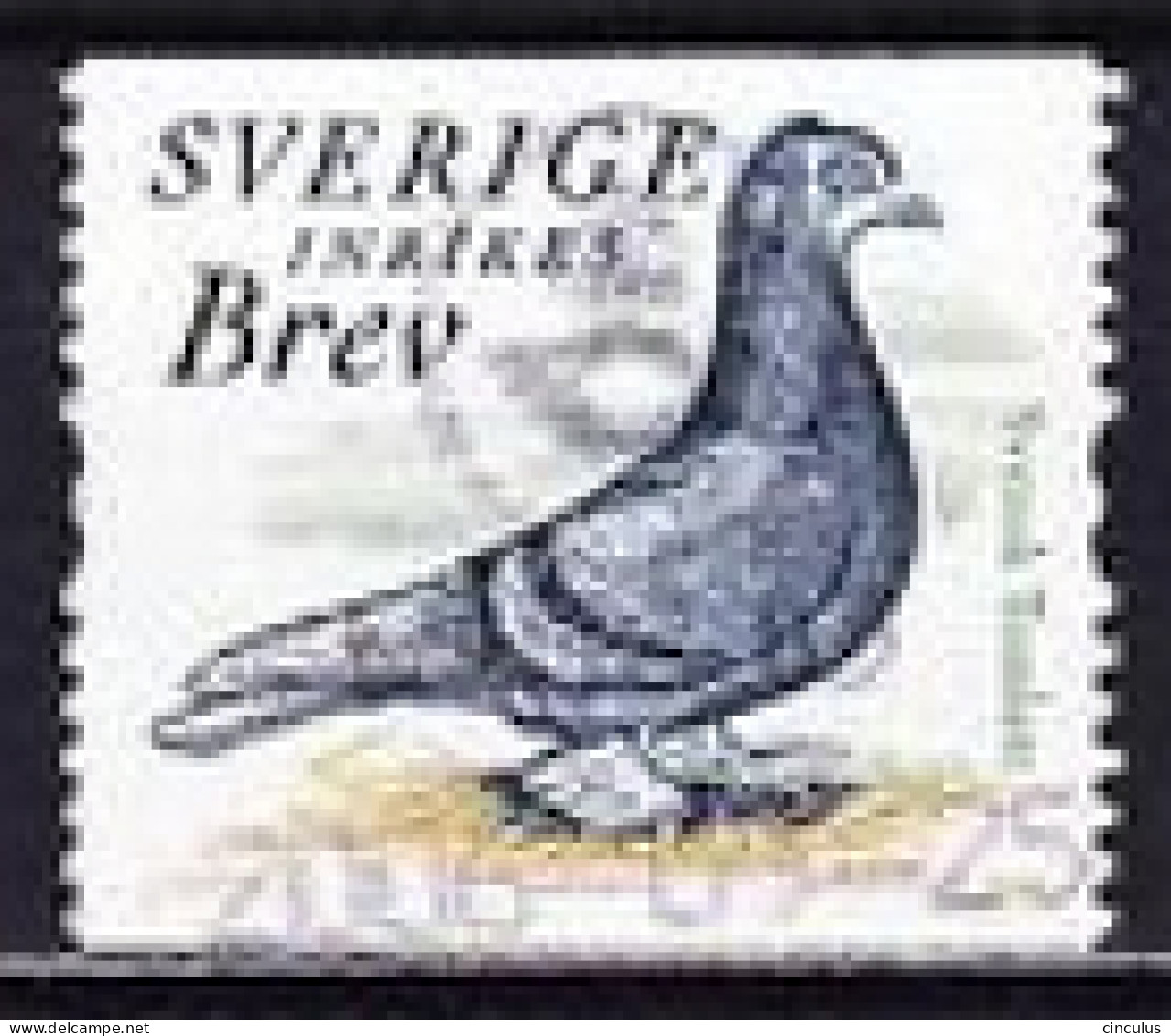 2004. Sweden. Swedish Tumbler (Columba Livia Forma Domestica). Used. Mi. Nr. 2417 - Oblitérés