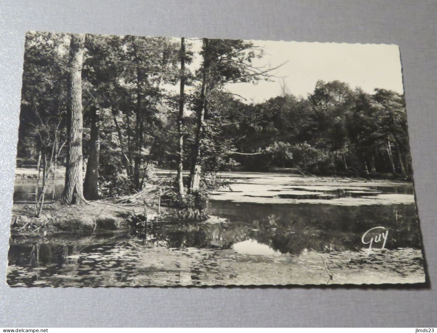 BAILLET EN FRANCE, VAL D'OISE, L'ETANG DU CHATEAU, CPSM - Baillet-en-France