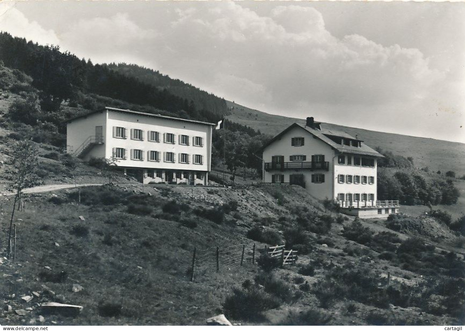 CPM GF-16597 -67 - Wildersbach (Rothau) - Centre De Vacances Des Pupilles D'Alsace-Livraison Offerte - Rothau