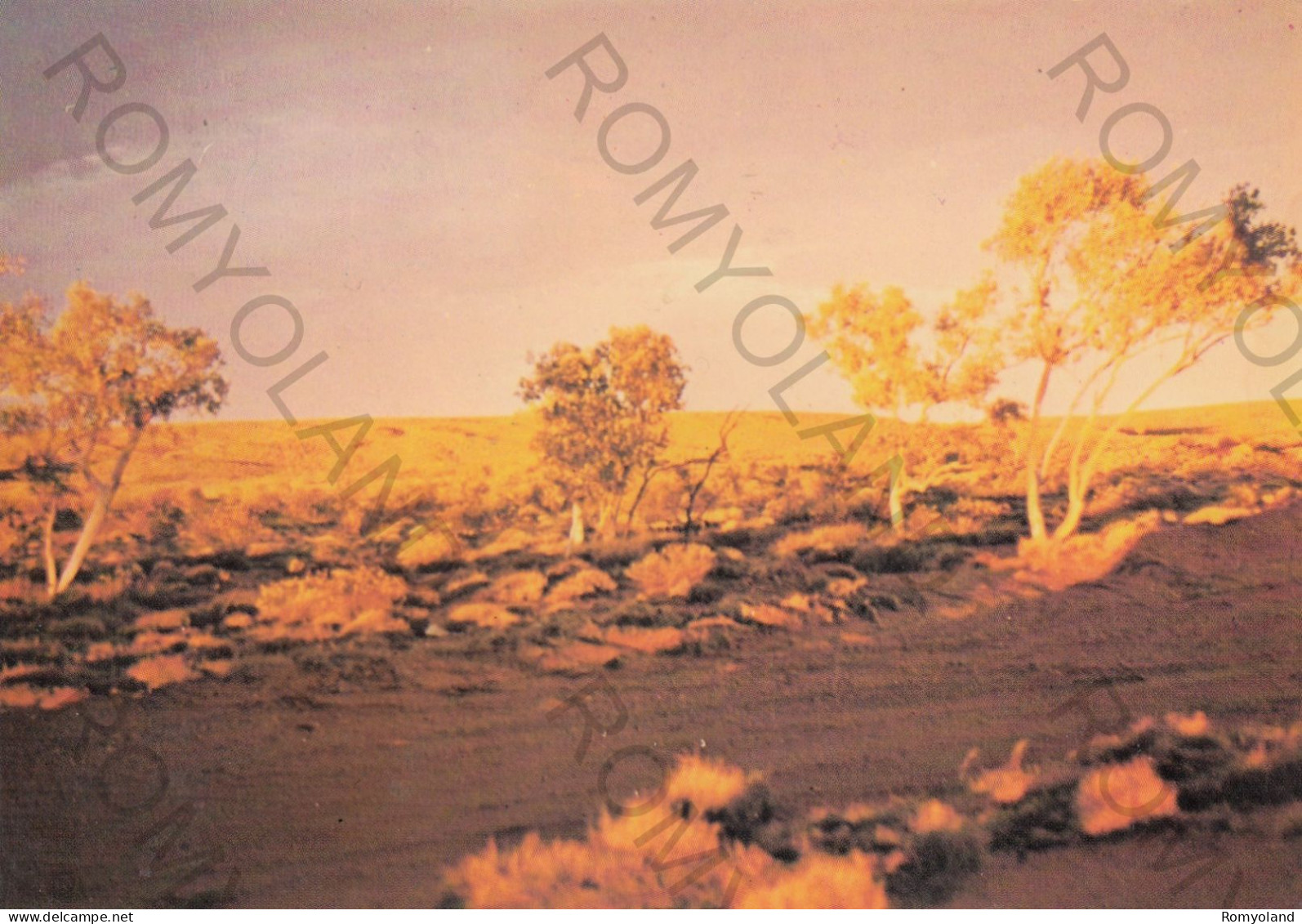 CARTOLINA  B20 TELFER,PILBARA,WESTERN AUSTRALIA,AUSTRALIA-DISTRICT SCENE-VIAGGIATA 1980 - Autres & Non Classés