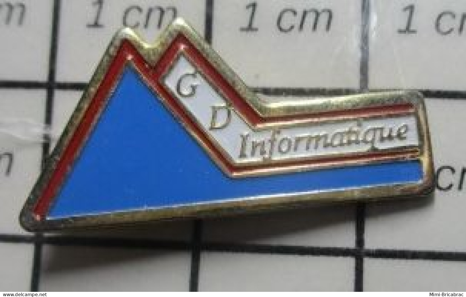 812D Pin's Pins / Beau Et Rare / INFORMATIQUE / GD INFORMATIQUE MONTAGNE - Computers