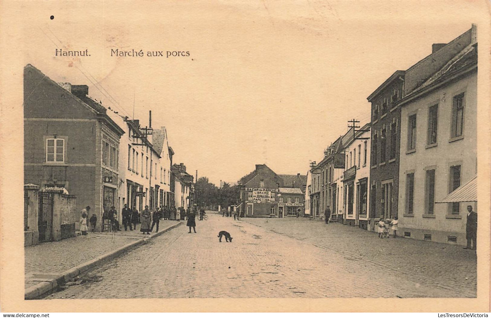 BELGIQUE - Hannut - Vue Sur Le Marché Aux Porcs - Carte Postale Ancienne - Hannuit