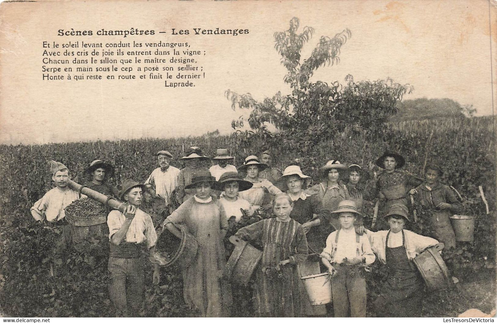 MÉTIERS - Scènes Champêtres - Les Vendanges - Carte Postale Ancienne - Farmers