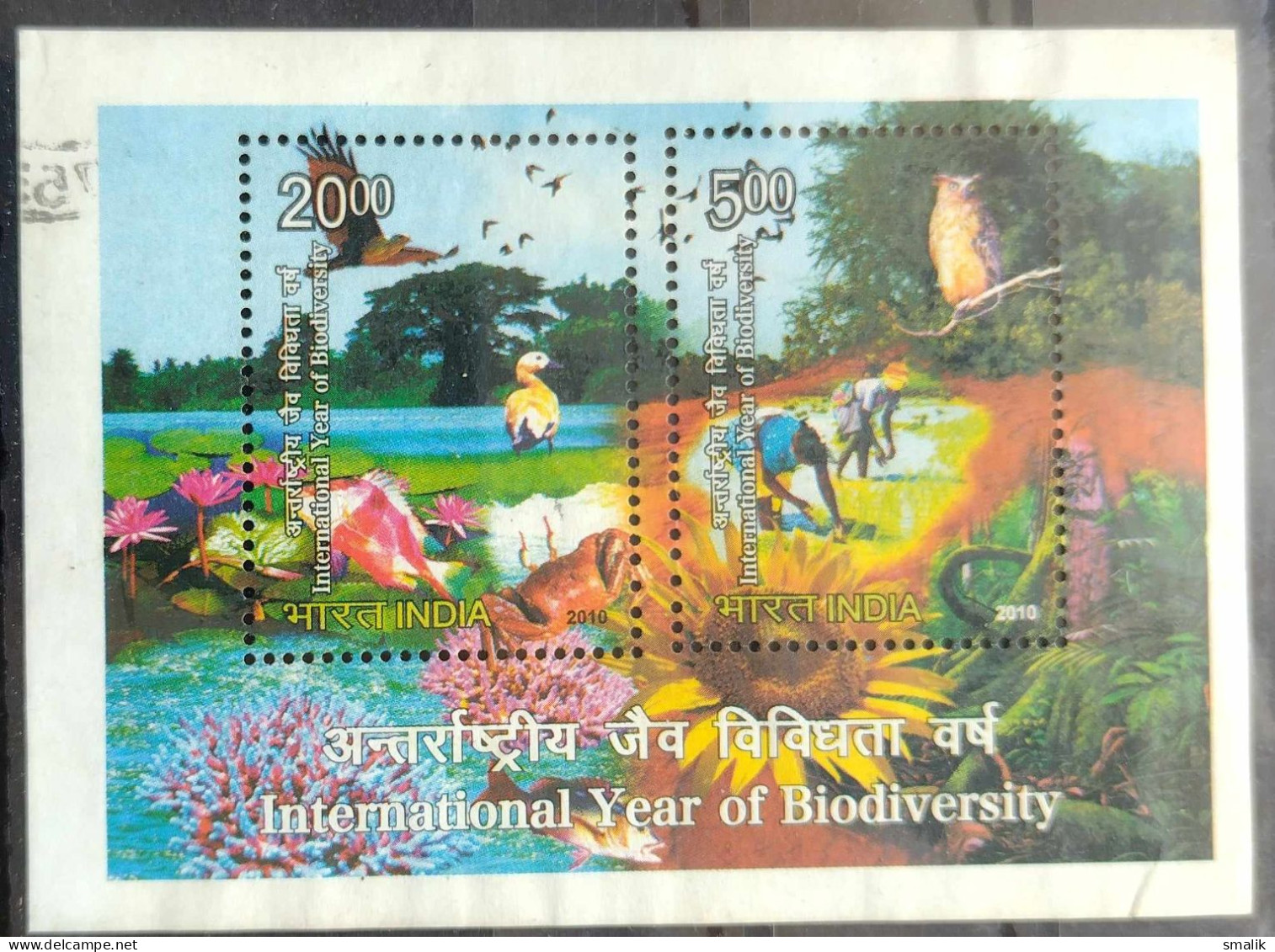 INDIA 2010 - International Year Of Biodiversity, Miniature Sheet, Fine Used - Gebraucht