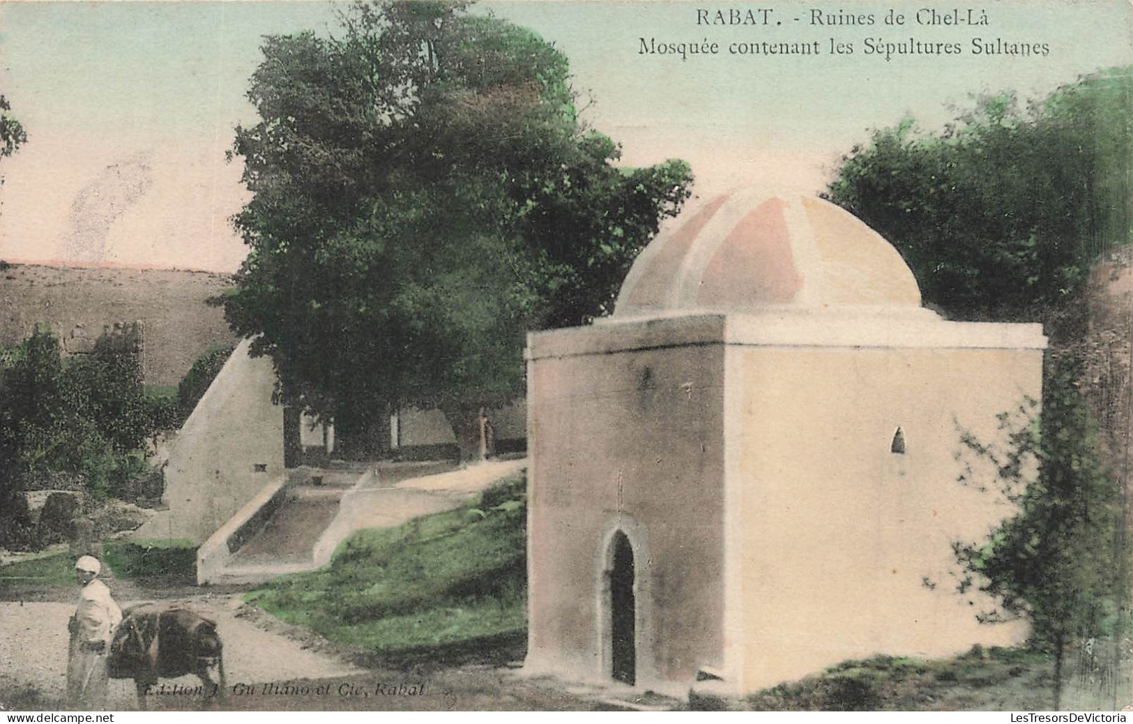 MAROC - Rabat - Ruines De Chel-Là - Mosquée Contenant Les Sépultures Sultanes - Carte Postale Ancienne - Rabat