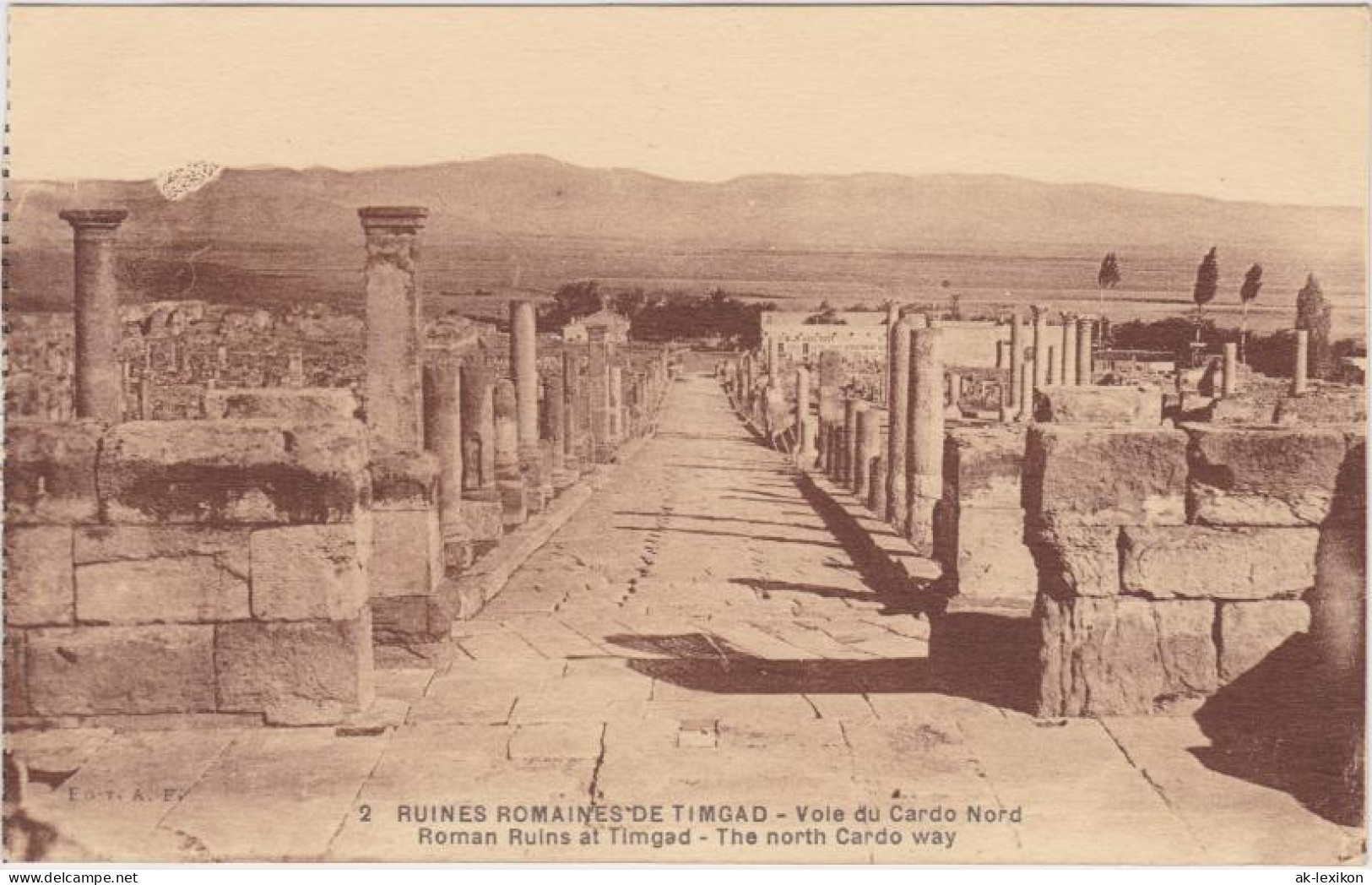 Postcard Timgad Ruines Romaines De Timgad 1922 - Batna
