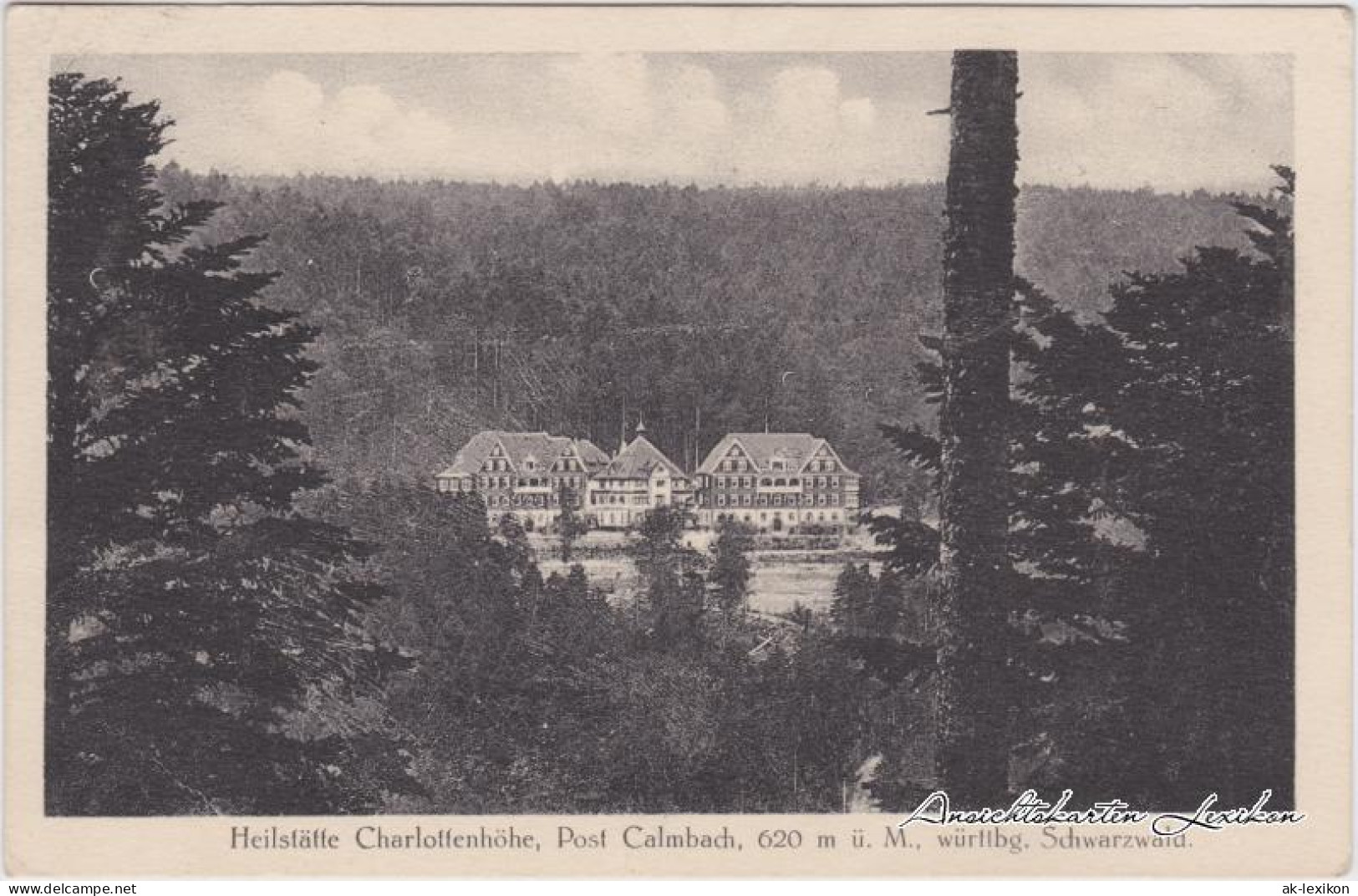 Ansichtskarte Schömberg (Schwarzwald) Heilstätte Charlottenhöhe 1922 - Schömberg