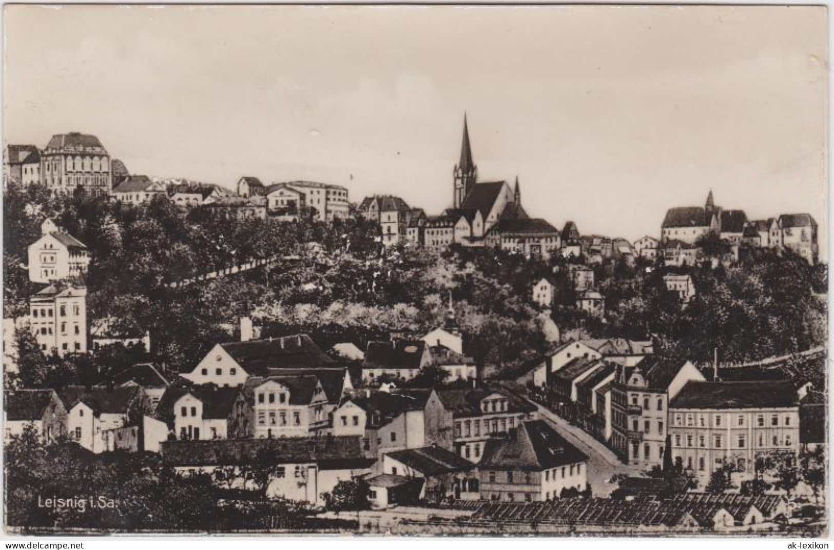 Ansichtskarte Leisnig Panorama-Ansicht 1932 - Leisnig