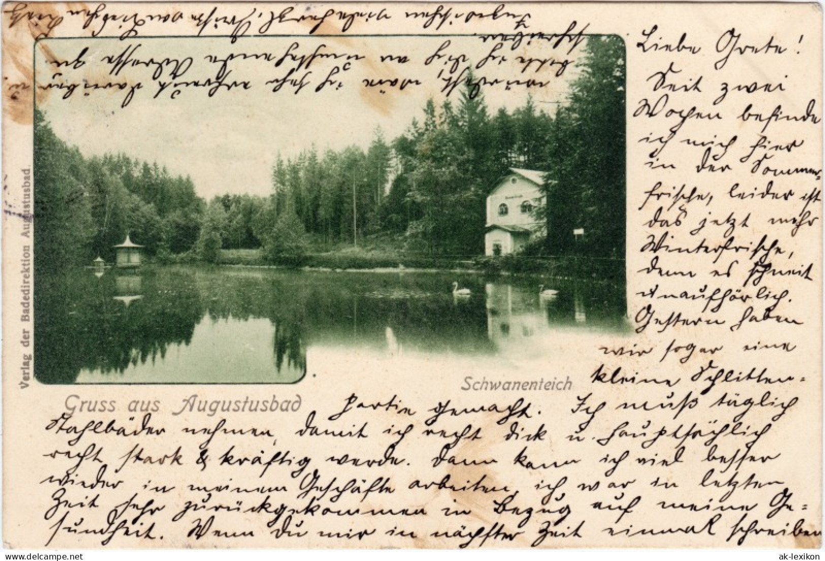 Ansichtskarte Liegau-Augustusbad-Radeberg Partie Am Schwanenteich 1903  - Radeberg