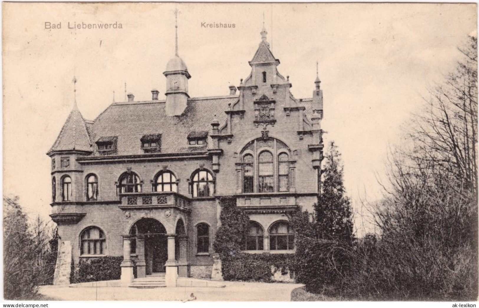 Ansichtskarte Bad Liebenwerda Partie Am Kreishaus 1907  - Bad Liebenwerda