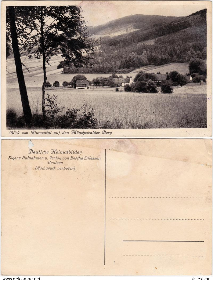 Wilthen (Sachsen) Blick Von Blumental Auf Den Mönchswalder Berg 1928 - Wilthen