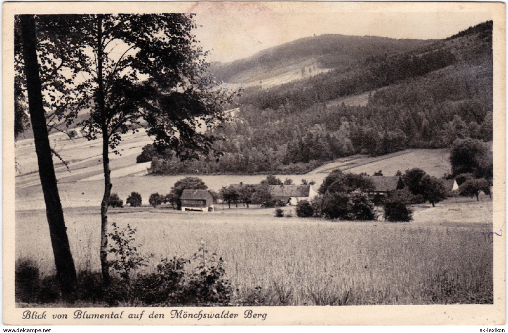 Wilthen (Sachsen) Blick Von Blumental Auf Den Mönchswalder Berg 1928 - Wilthen