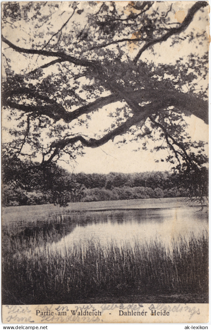 Ansichtskarte Schmannewitz-Dahlen Partie Am Waldteich 1928  - Dahlen