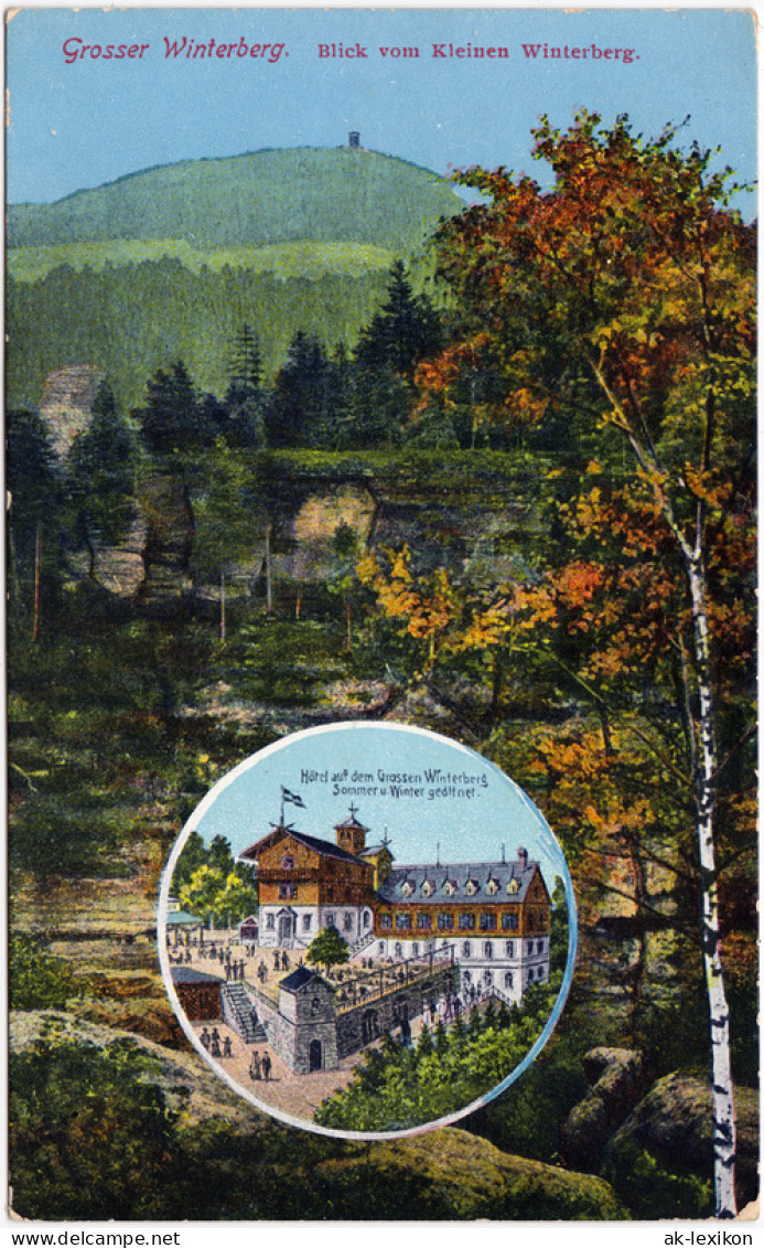 Ansichtskarte Schmilka Großer Winterberg, Sächsische Schweiz 1929 - Schmilka
