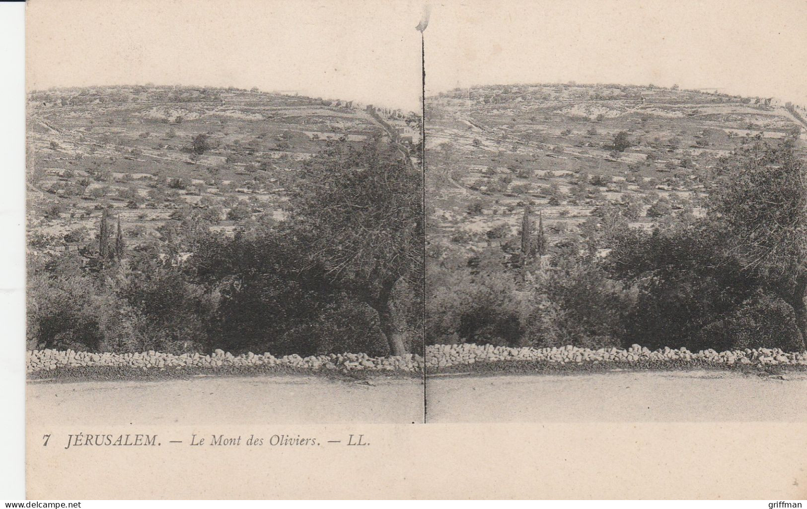 CARTE STEREOSCOPIQUE ISTRAEL JERUSALEM LE MONT DES OLIVIERS TBE - Stereoscope Cards