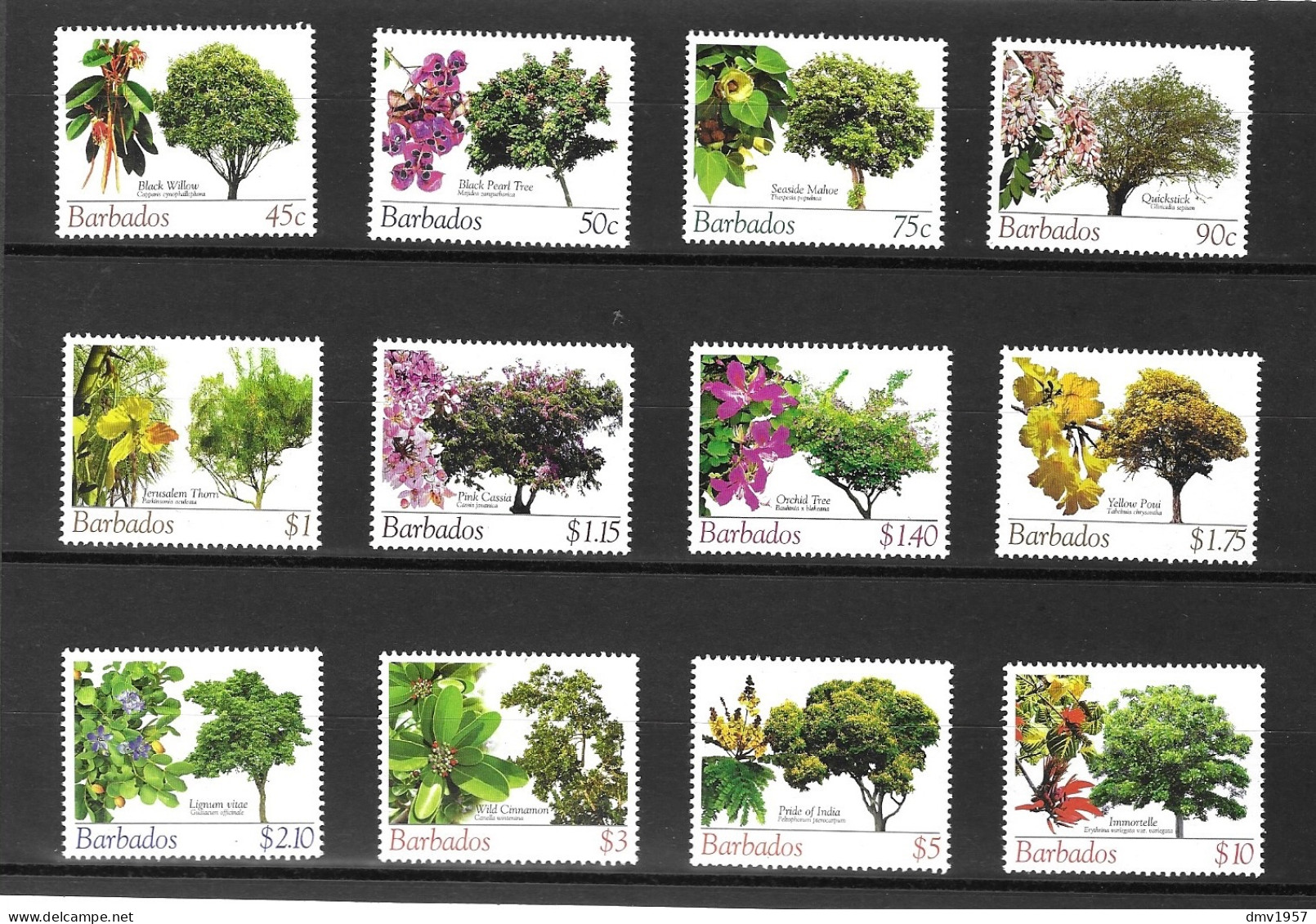 Barbados 2005 MNH Flowering Trees (Part Set) Sg 1269/80 (Missing Sg 1266/8) - Barbados (1966-...)