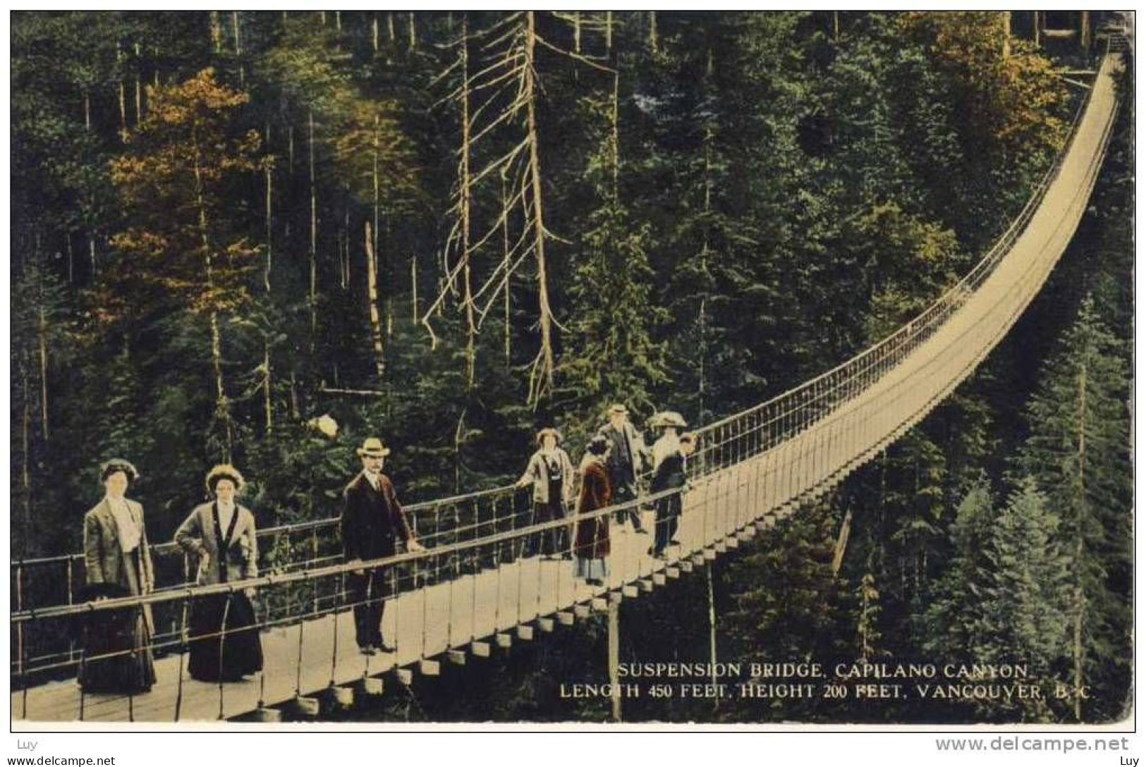 VANCOUVER, B.C. -  Suspension Bridge (Pont, Brücke, Hängebrücke), Capilano Canyon, - Vancouver