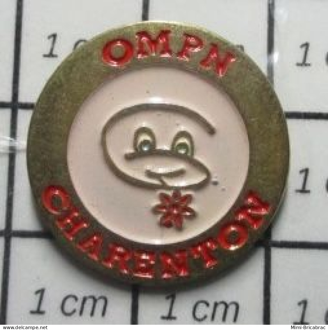 713M Pins Pin's / Rare & Belle Qualité / POLICE / OMPN ORPHELINAT MUTUALISTE CHARENTON - Policia