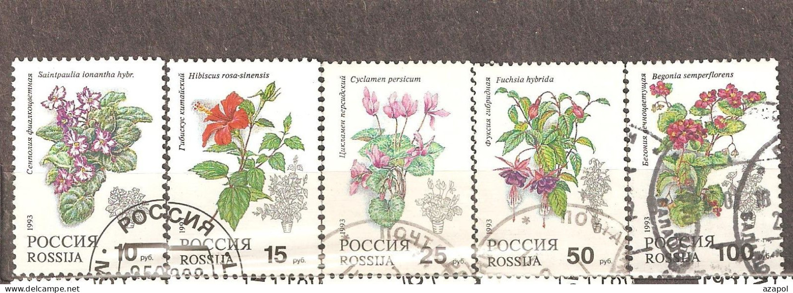 Russia: Full Set Of 5 Used Stamps In Strip, Pot Plants, 1993, Mi#296-300 - Usati