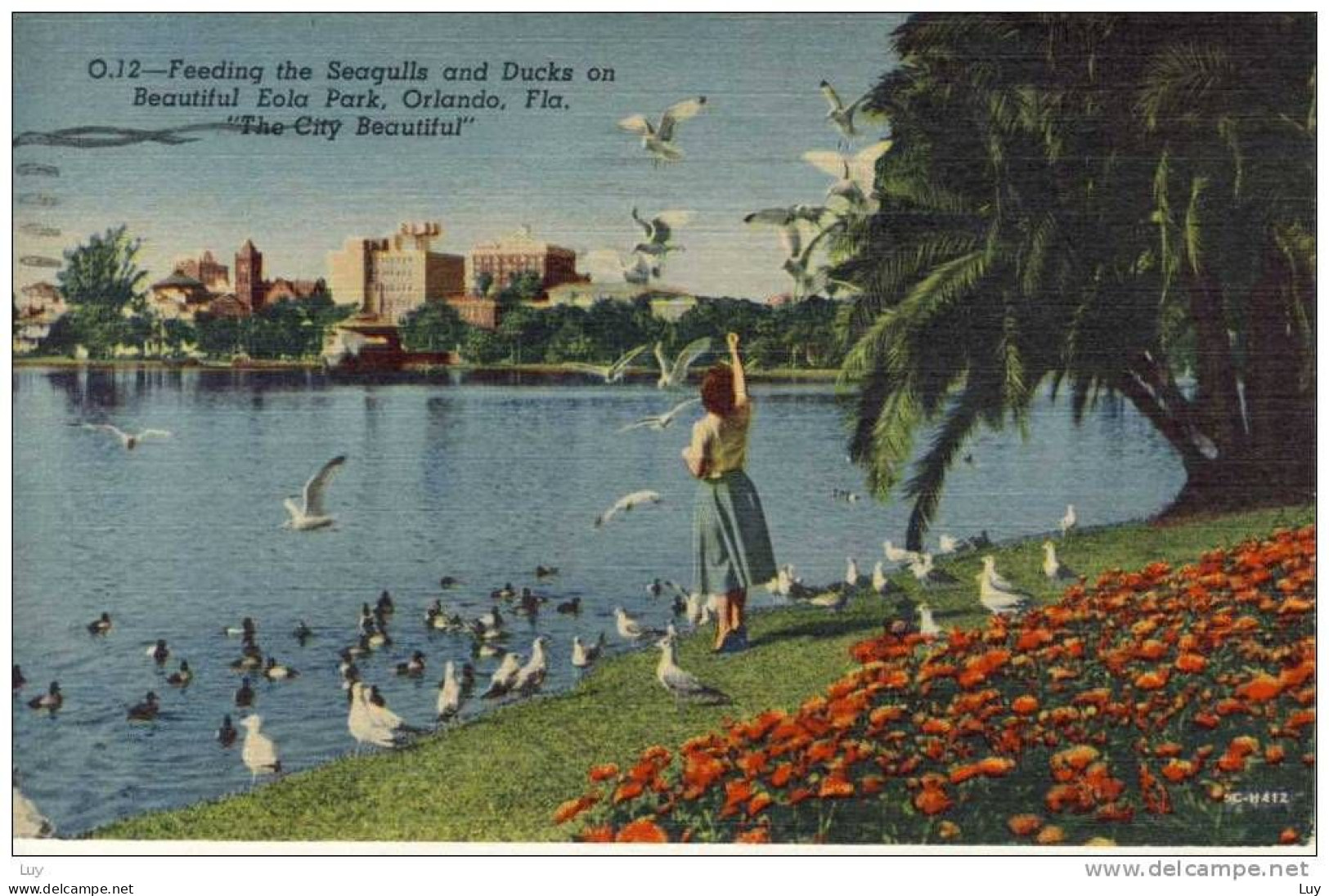 ORLANDO, FL - Feeding The Seagulls And Ducks On Beautiful Eola Park, ORLANDO, FL - Orlando