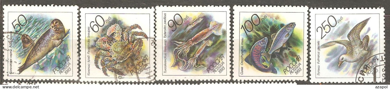 Russia: Full Set Of 5 Used Stamps, Marine Life, 1993, Mi#323-7 - Usados