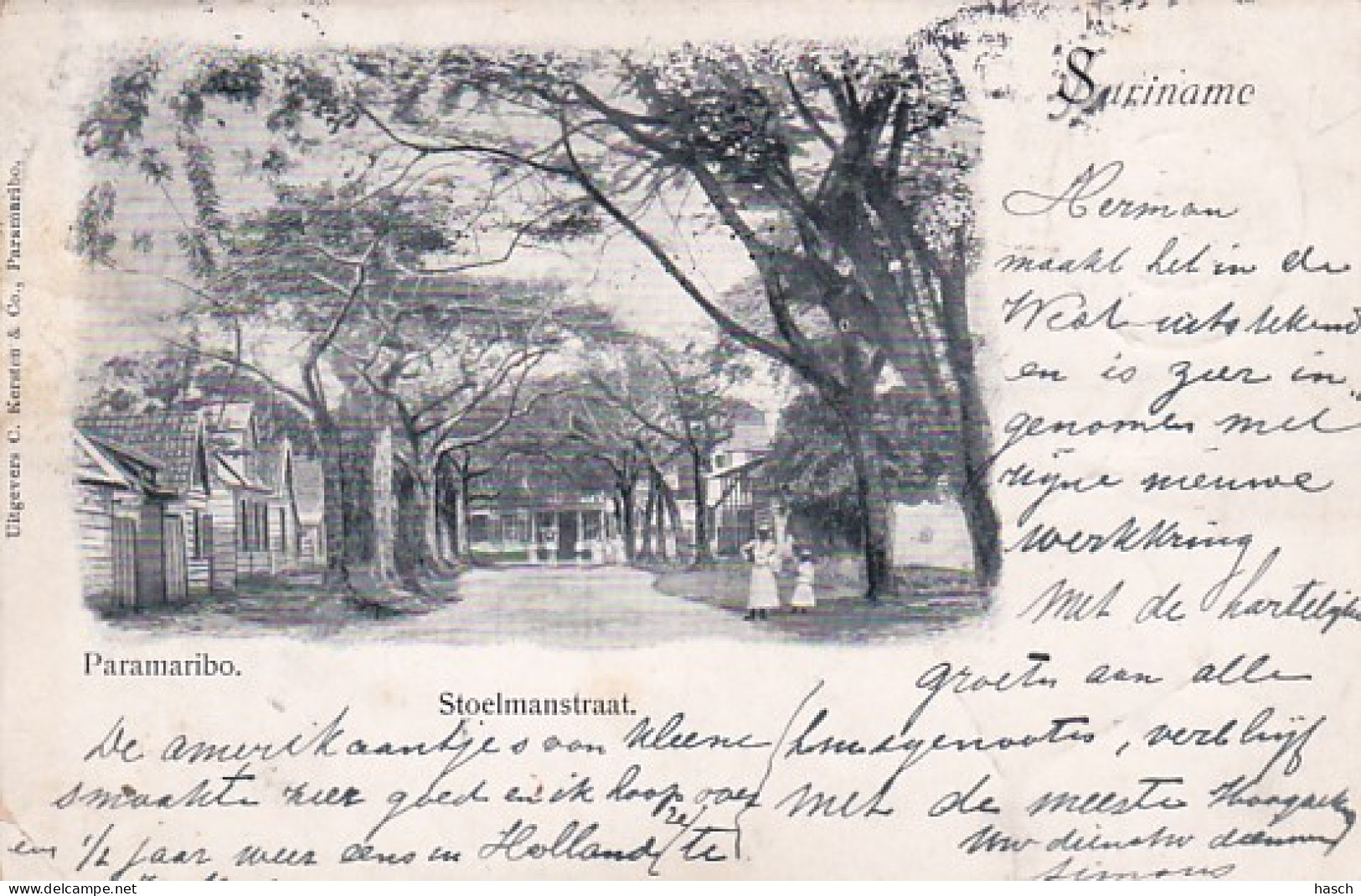 1909	3	Suriname, Paramaribo Stoelmanstraat (linksonder Een Heel Klein Vouwtje) - Suriname
