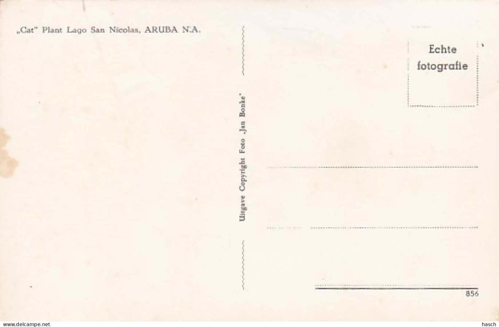 1909	44	Aruba, ,,Cat’’ Plant Lago San Nicolas (zie Achterkant) - Aruba