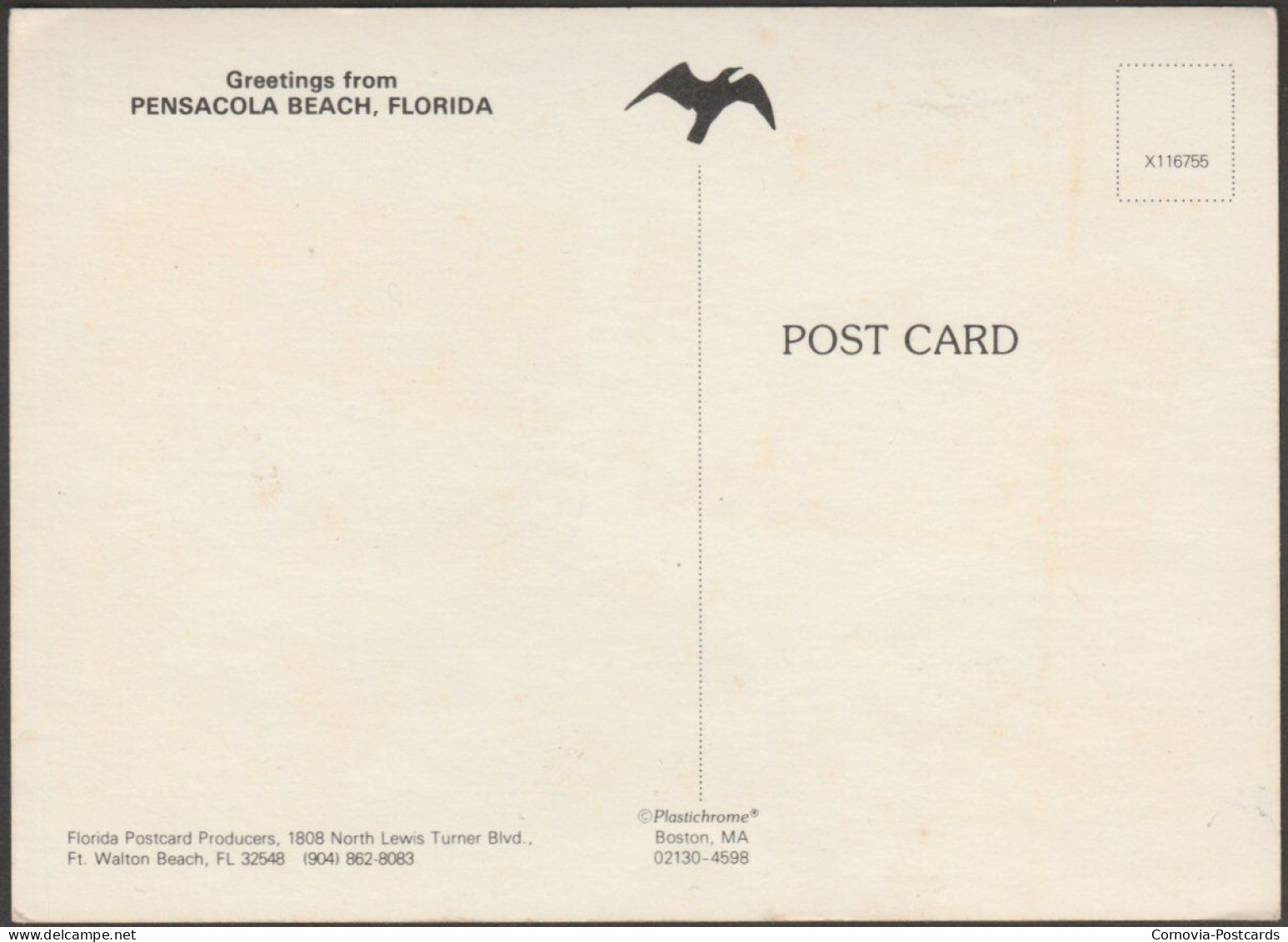 Greetings From Pensacola Beach, Florida, C.1980s - FPP Postcard - Pensacola