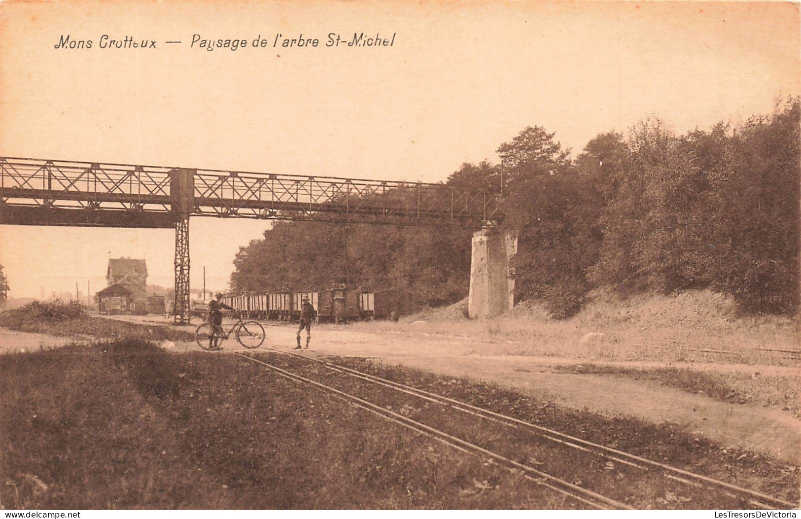 BELGIQUE - Mons Crotteux - Vue Générale Sur Le Paysage De L'arbre St Michel - Carte Postale Ancienne - Flémalle