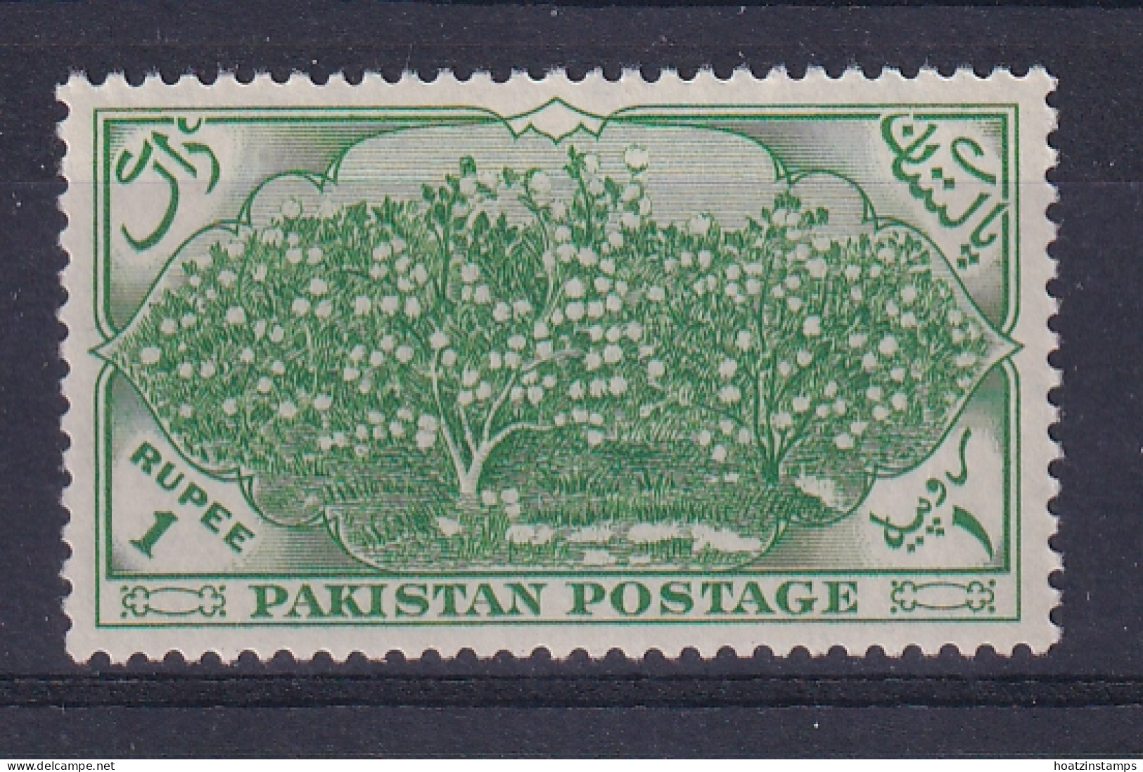 Pakistan: 1954   Seventh Anniv Of Independence    SG70    1R     MH - Pakistan