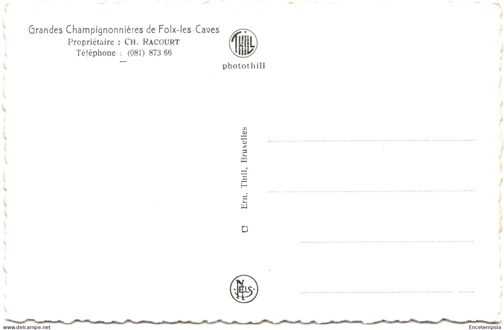 CPA Carte Postale Belgique Orp-Jauche Fox Les Caves Grandes Champignonnières  VM77913ok - Orp-Jauche