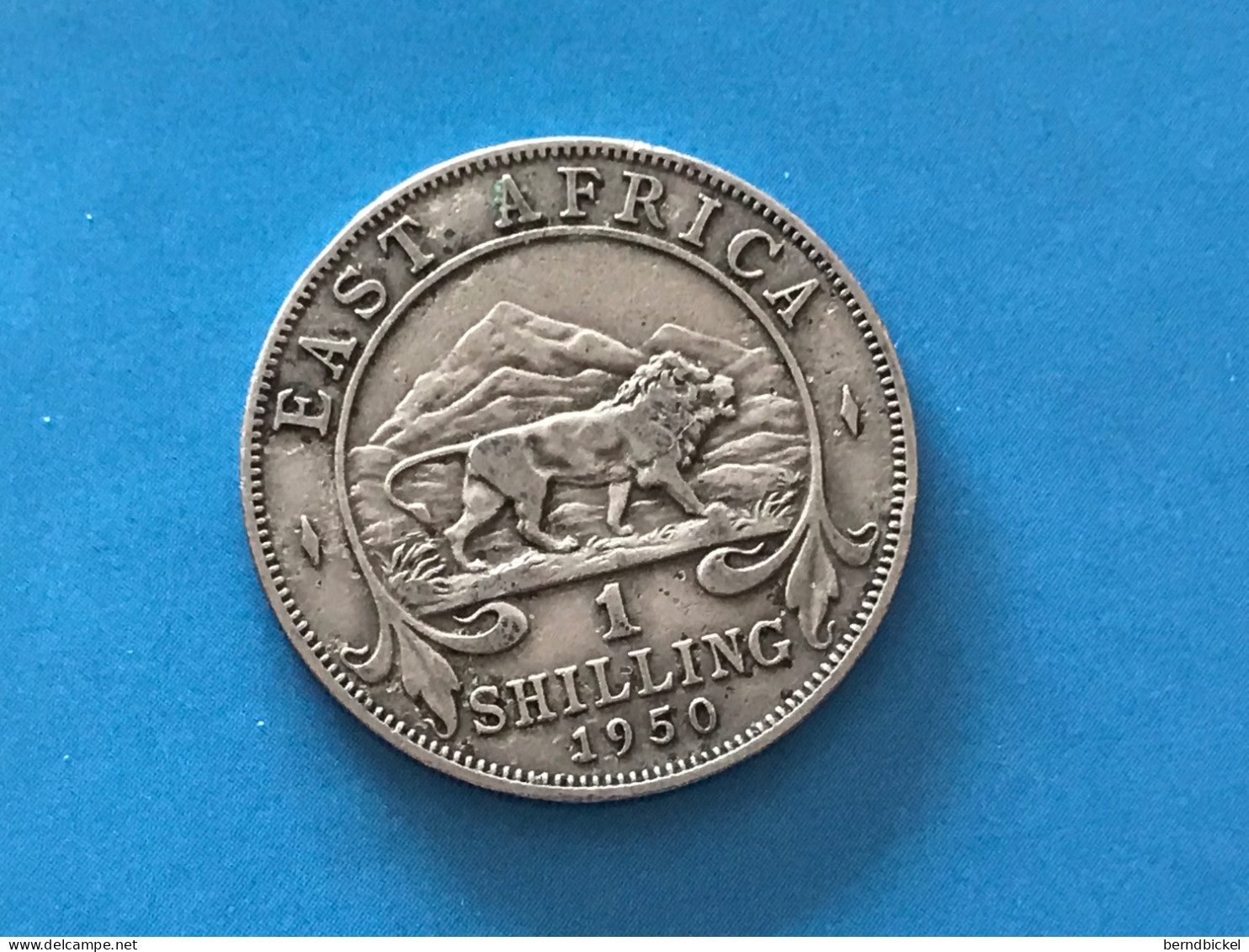 Münze Münzen Umlaufmünze East Africa 1 Shilling 1950 Ohne Münzzeichen - Colonies