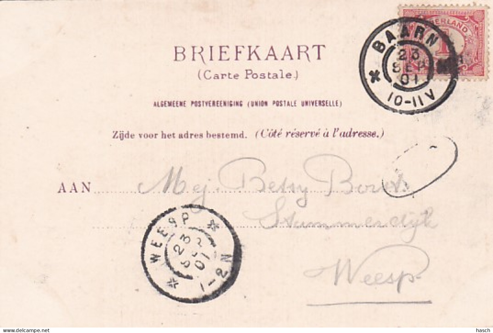 237860Baarn, Hotel Zeiler (poststempel 1901)(achter Kant Is Aan Het Loslaten) - Baarn