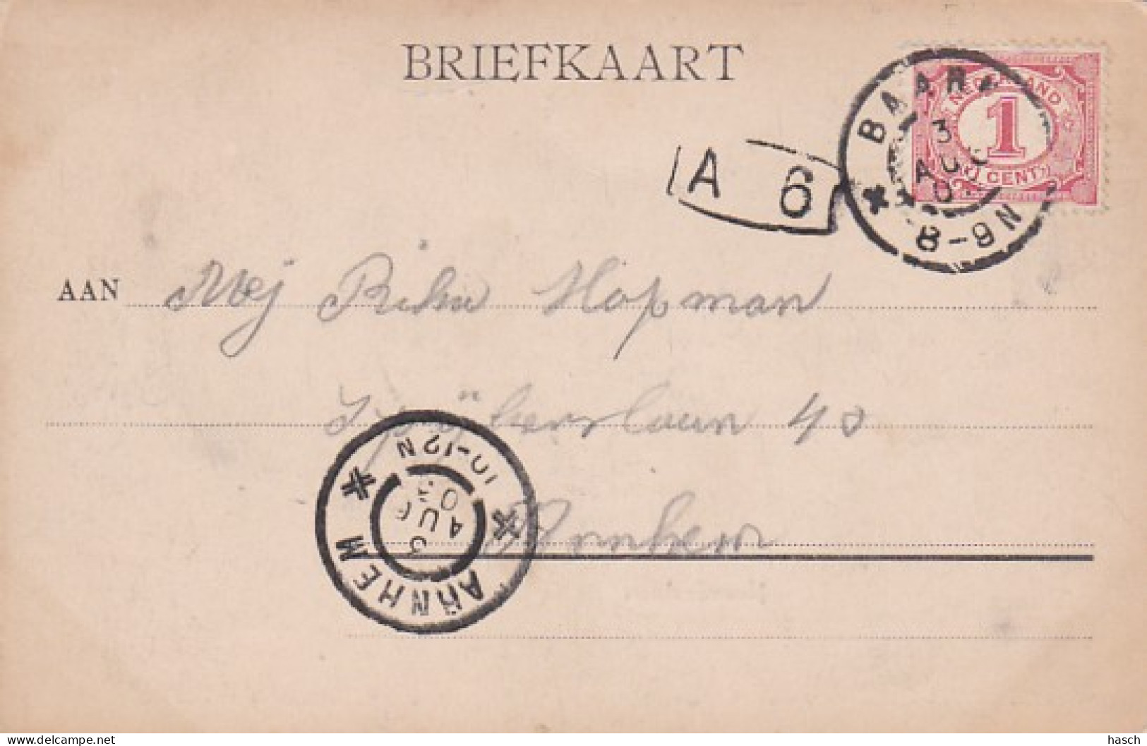 237874Baarn, Noorderlaan (postsempel 1903) - Baarn