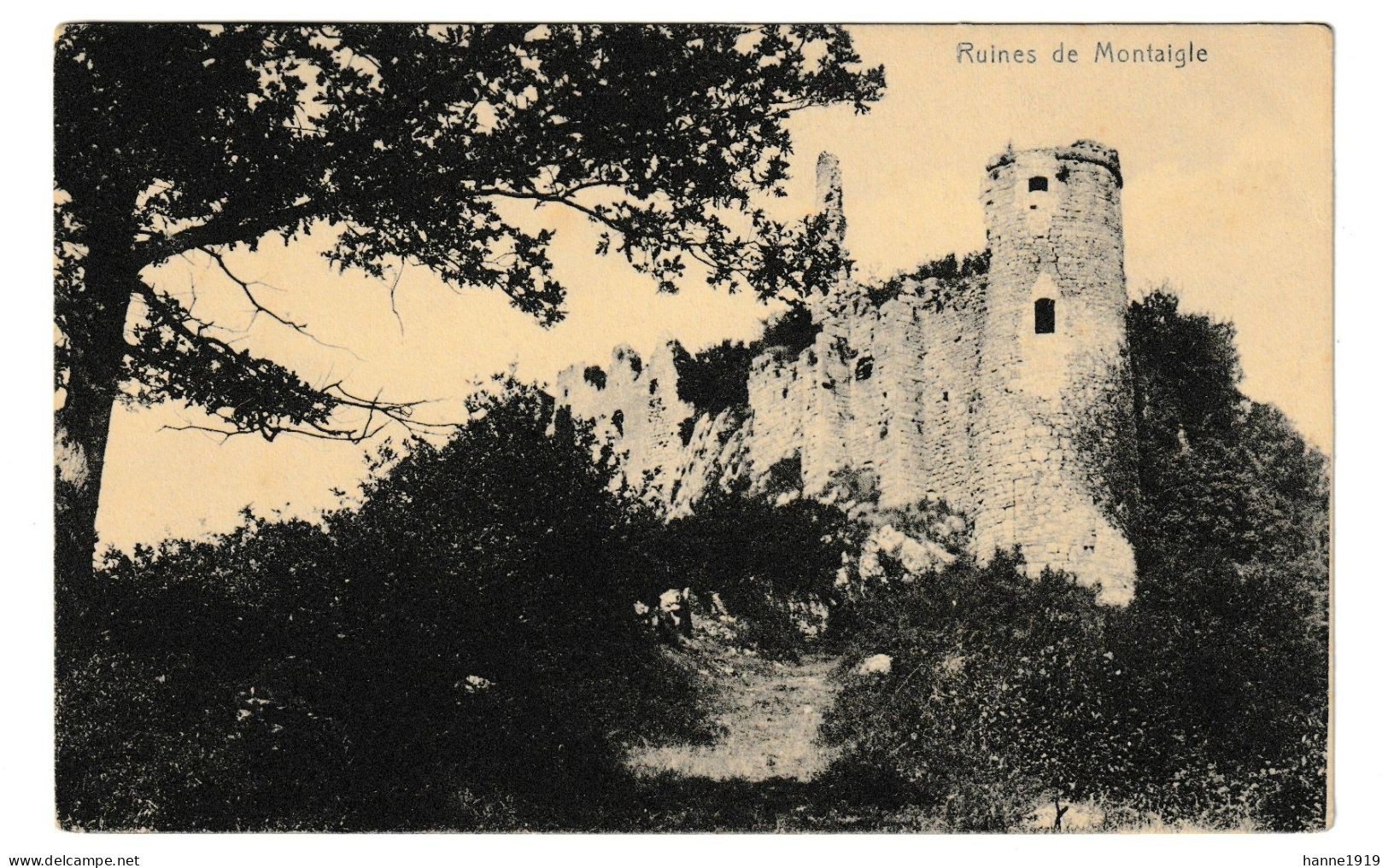 Onhaye Falaen Les Ruines De Montaigle Htje - Onhaye