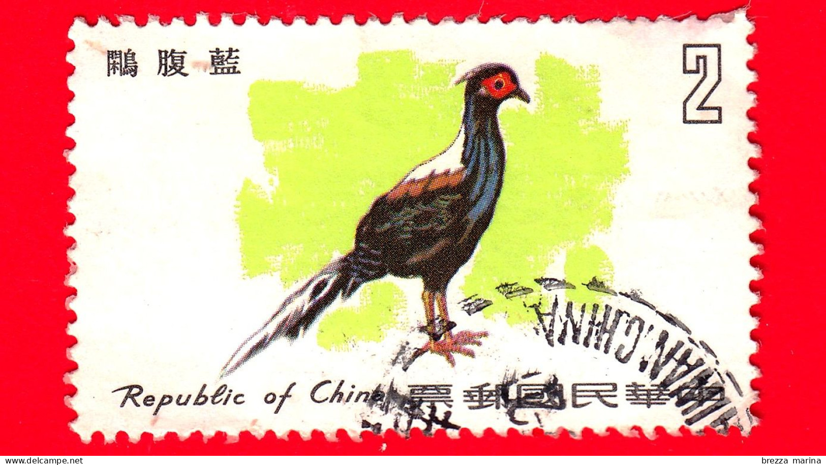 TAIWAN  - Repubblica Di Cina - Usato - 1979 - Uccelli - Fagiano Di Swinhoe (Lophura Swinhoii) - 2 - Gebruikt