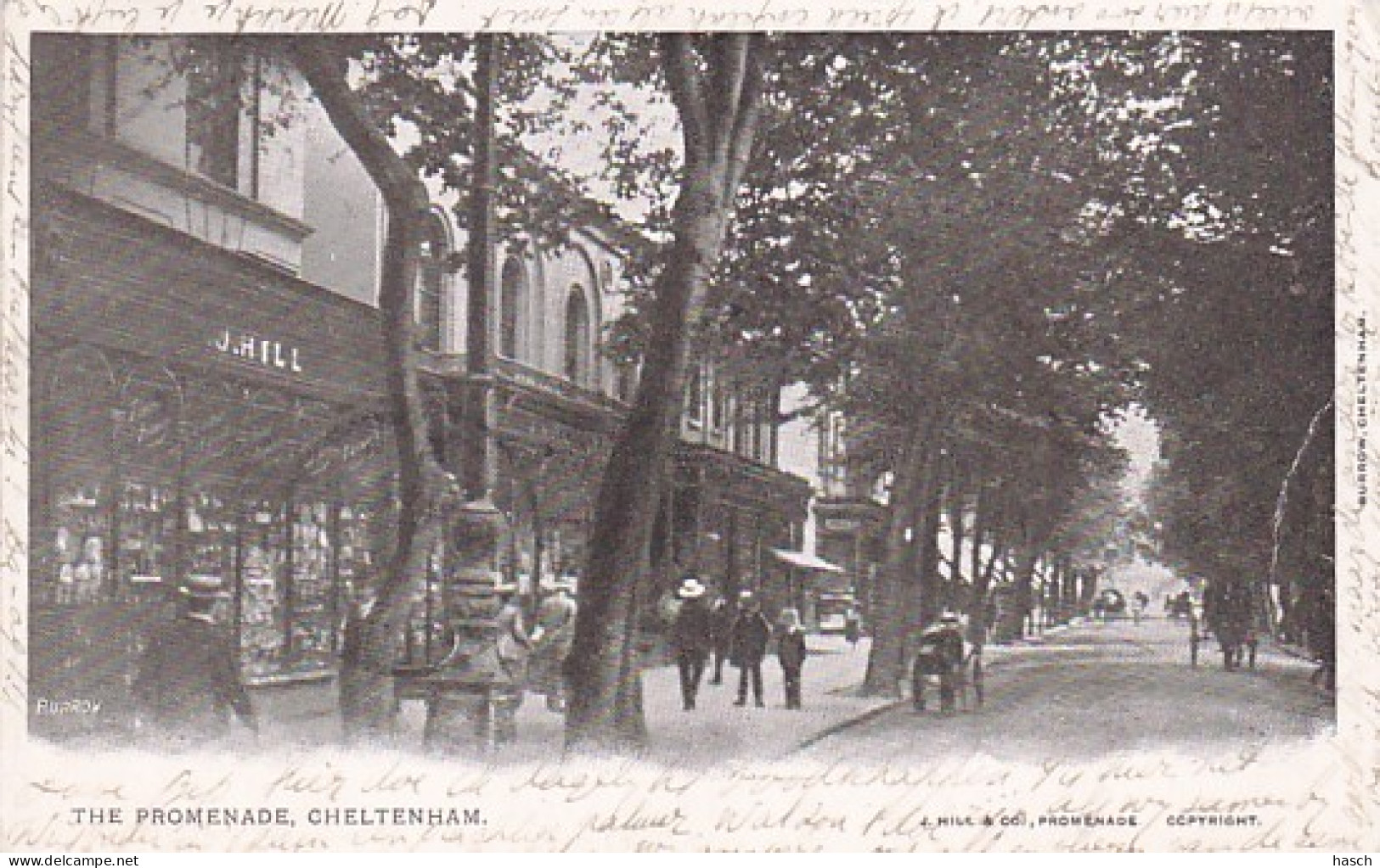 2416115Cheltenham, The Promenade 1904 (see Crease Right Side) - Cheltenham