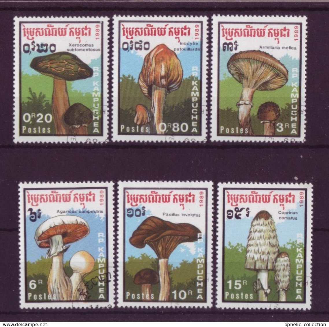 Asie - Kampuchea 1989 - Champignons - 6 Timbres Différents - 6284 - Kampuchea